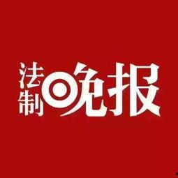 今日生活爆料电话,今日爆料电话背后的故事  第1张
